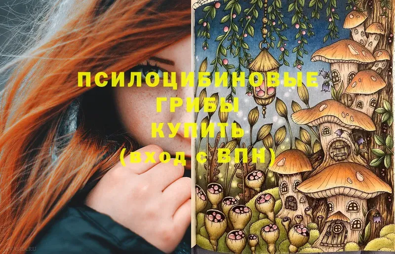 Псилоцибиновые грибы Psilocybine cubensis  Палласовка 